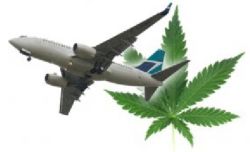 Pilotul unui avion a consumat cannabis inainte de a efectua o cursa cu 192 de pasageri