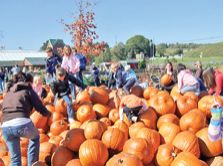 Dovleacul reduce riscul de cancer la plamani