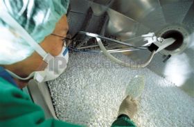 Compania Merck a retras de pe piata loturile de vitamina D3 pentru copii