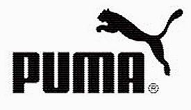Puma intra direct pe piata romaneasca