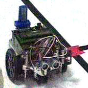 Studentii clujeni au organizat un concurs de roboti in facultate