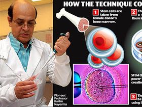 Sperma produsa din maduva osoasa de la donatori feminini