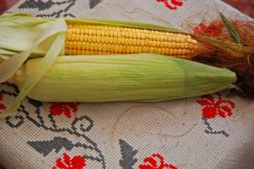 Matasea porumbului combate tulburarile renale