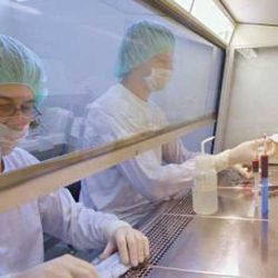 Prelevare de celule stem, in premiera la Vaslui