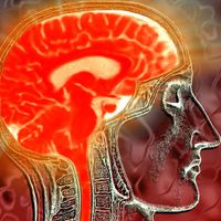 Misterele creierului uman