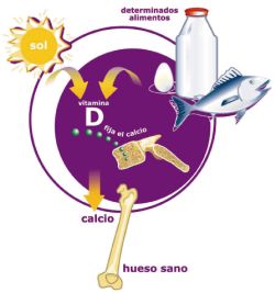 Carenta de vitamina D poate creste riscul de deces in cazul unui cancer mamar