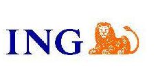 ING a lansat o pagina de internet pentru clientii care vor sa-si verifice conturile de pe pilonul II