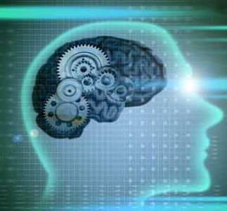 Dezvoltarea psihica a adolescentului