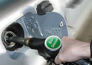 Biocombustibilii, principala cauza a scumpirii alimentelor