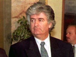 Actul de identitate fals utilizat de Radovan Kardzici ar fi fost eliberat in Romania