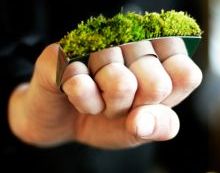 Ecologie dusa la extrem: bijuterii cu iarba