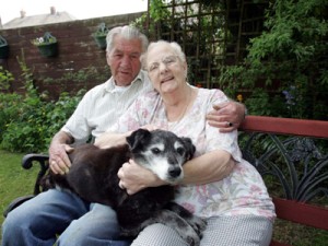 Cel mai batran caine din lume a murit la 29 de ani