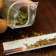 O plantatie de canabis, de pe care fusesera culese 62 de kilograme de plante, a fost descoperita de politisti