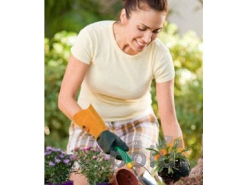 Sere de flori in Austria