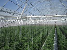AGRICULTURA GERMANIA