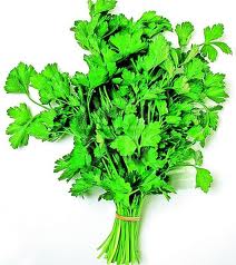 Ferme purcei si pasari Germania 1300 euro