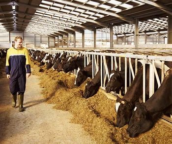 Sansa unica de angajare in ferme