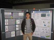 LHC in competitie cu Tevatron: Europa si Statele Unite se bat pentru obtinerea particulei lui Dumnezeu