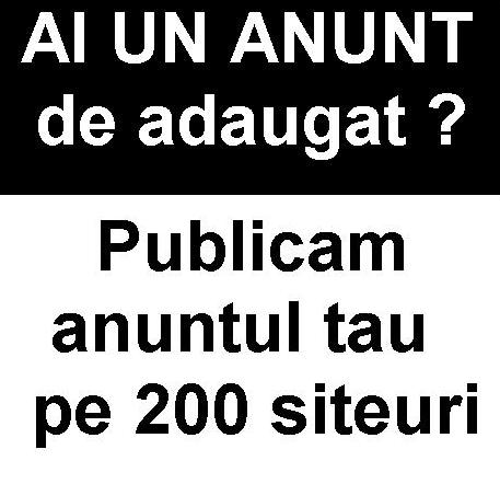  Iti inscriem anuntul pe 200 siteuri