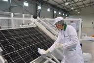 Muncitori asamblat panouri fotovoltaice.