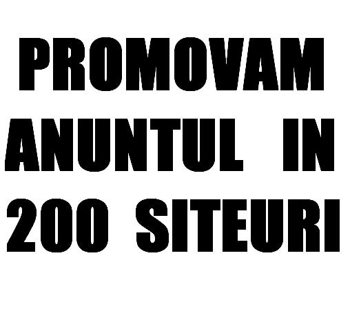 Promovare pe Internet . Publicam Anunturi