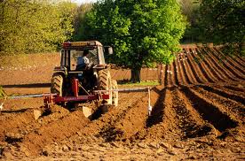Munca in strainatate agricultura Deva