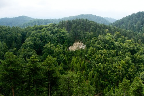  Ajutor taiat lemne, 1400euro/luna, Germania