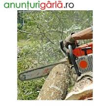 Muncitori forestieri Germania