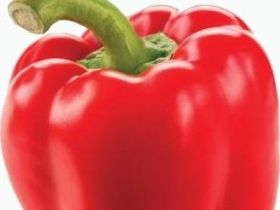 Dieta vegetariana ne poate transforma creierul intr-o leguma