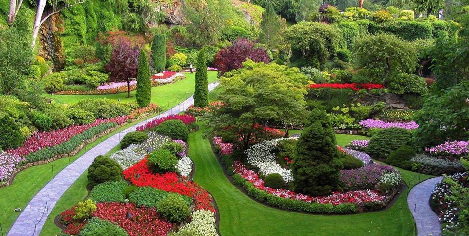 GERMANIA MUNCA GRADINARIT