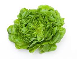 Muncitori sortat salata, 1300eu/luna, Germania