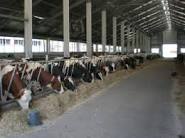cautam ingrijitor animale Germania