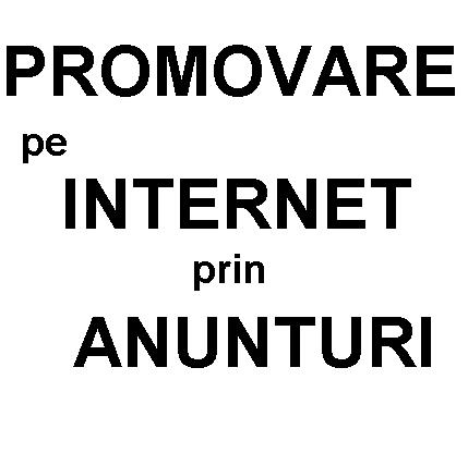  Promovare pe Internet prin anunturi