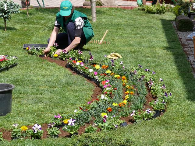 Ajutor de gradinar Germania