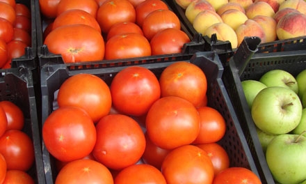 Profita acum de oferte promotionale de sarbatori