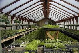 Plantat legume, 1300eu/luna, Germania