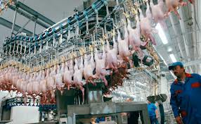 Ambalatori fabrici Germania 1300 Euro