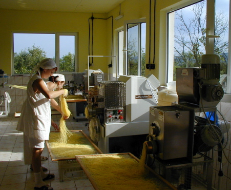 MUNCITORI FABRICA GERMANIA