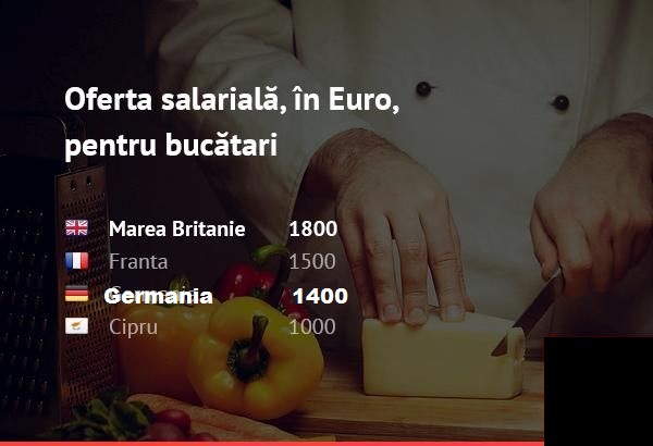 Locuri Munca Strainatate, Ajutor Bucatar