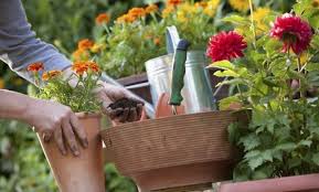 personal gradinarit Germania