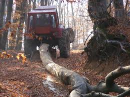 Condus tractor, 1400eu/luna, Germania