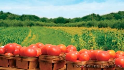 Sere legume,fructe sau flori plecare 19 mai