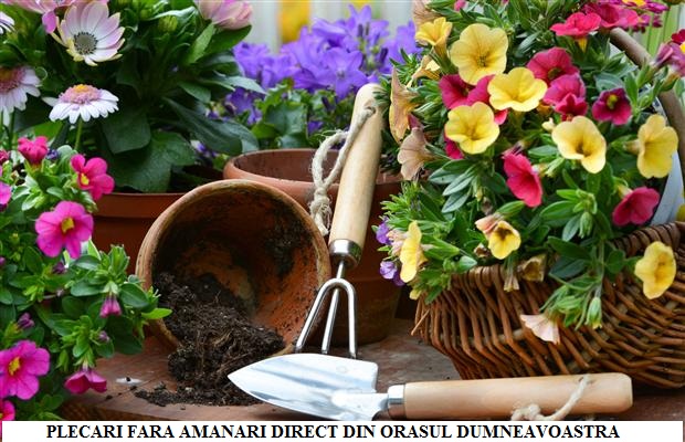Plecari Strainatate, Urgent Gradinarit- Sere Mai 