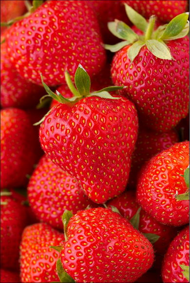 Plantat capsuni/zmeura Germania
