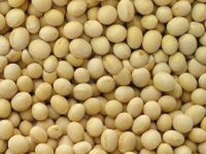 Soia poate ajuta persoanele care au suferit accidente cerebrale