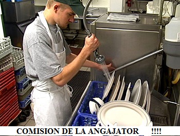 PLECARI STRAINATATE,STUTTGART  URGENT FARA COMISION