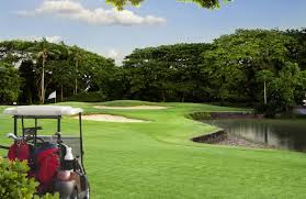 INTRETINERE GAZON TEREN GOLF 1400 EURO