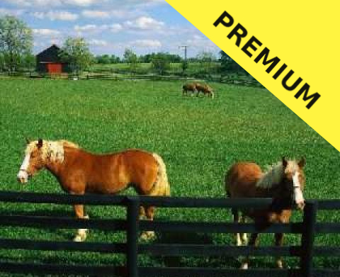 FERME ZOOTEHNIE GERMANIA