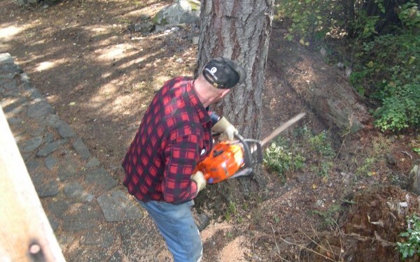 Taietor de lemne, 1300eu/luna, Germania