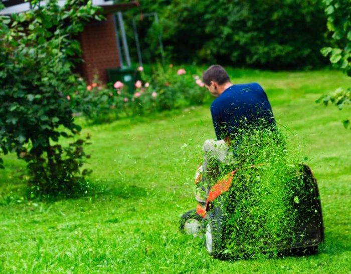 Cultivat plante, tuns iarba